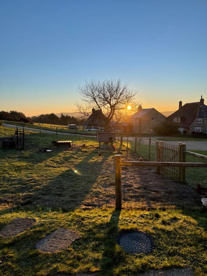 Bike Shed - Beautiful 1-Bed Cottage In Shorwell Eksteriør billede